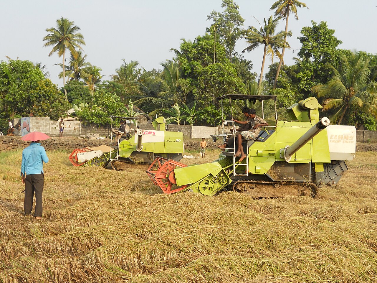 Haryana Budget 2026 Puts Farmers and Job Seekers First