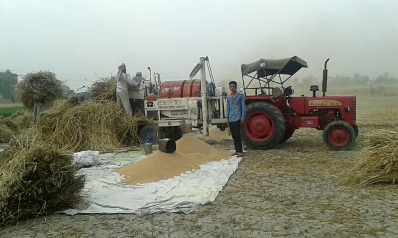 Hisar Emerges as Agro-Processing Hub With Three New Plants